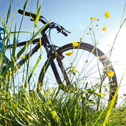 fahrrad-2.jpg
